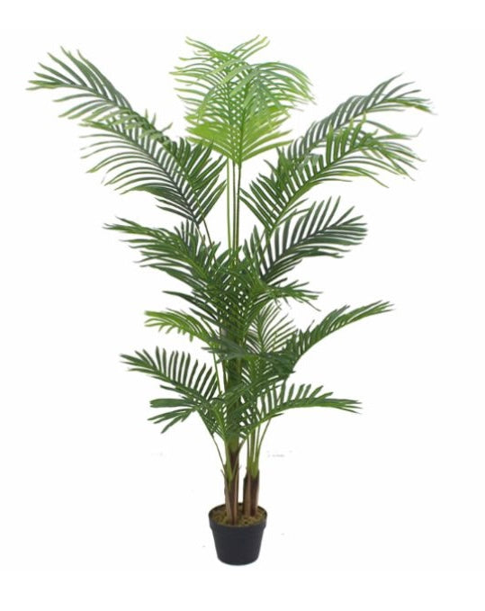 Palmera 170 cm